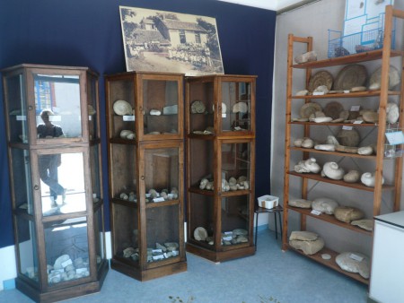 Notre exposition de fossiles